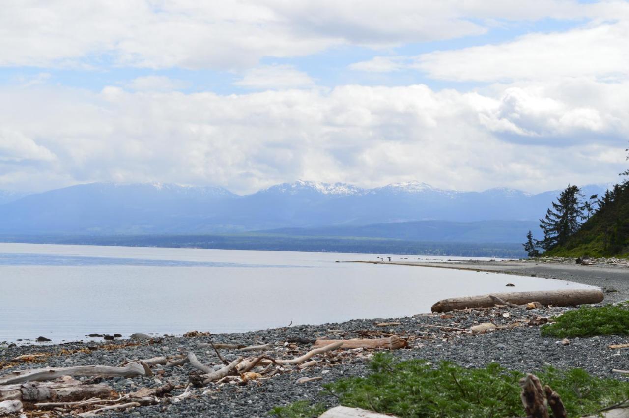 Estuary House Reflexology B&B Courtenay Bagian luar foto