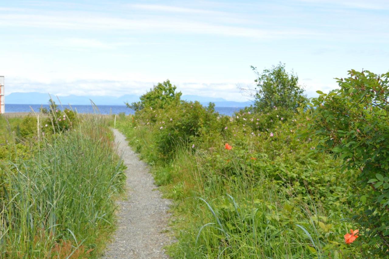 Estuary House Reflexology B&B Courtenay Bagian luar foto