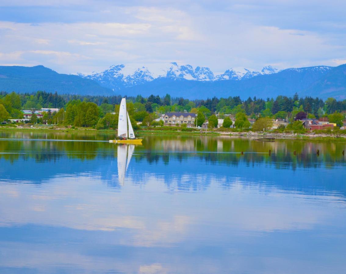 Estuary House Reflexology B&B Courtenay Bagian luar foto
