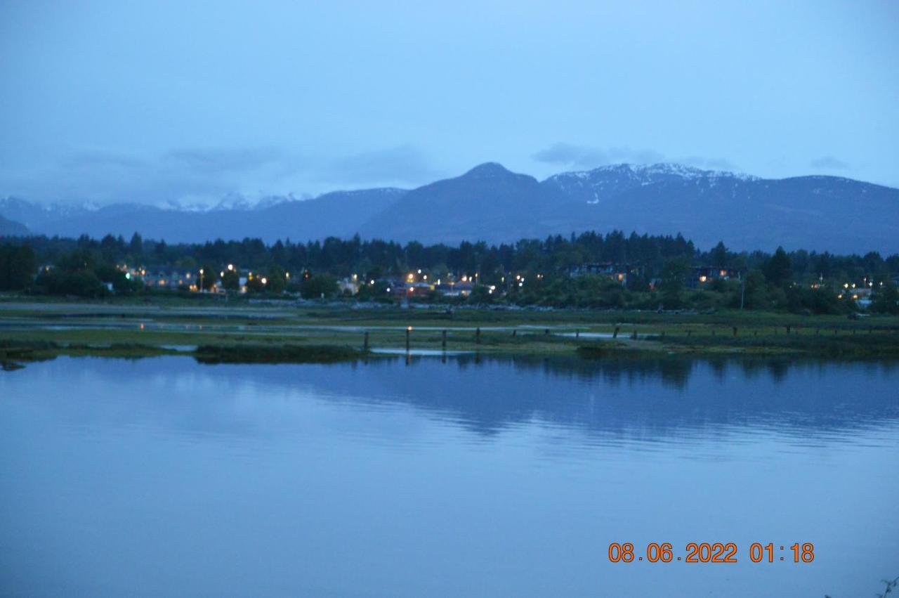 Estuary House Reflexology B&B Courtenay Bagian luar foto