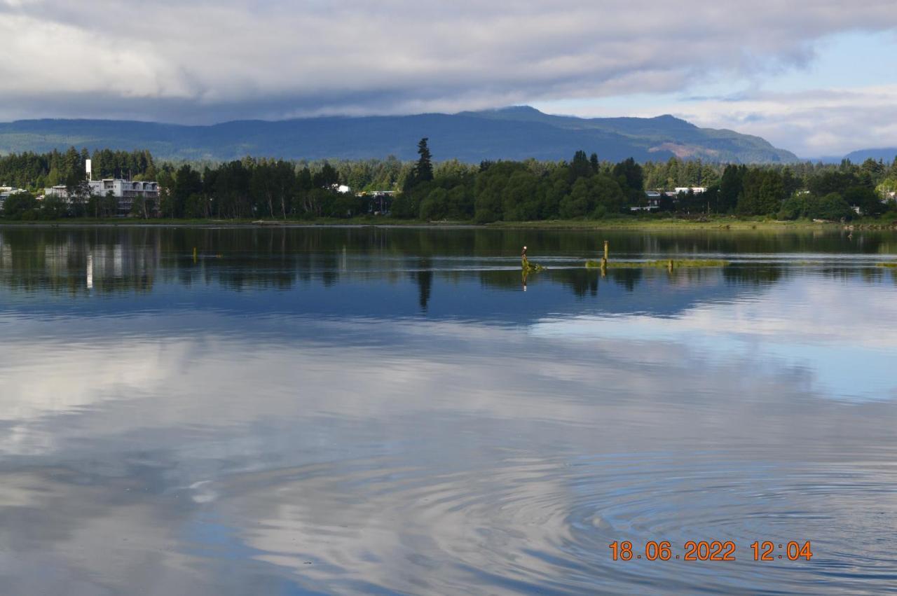 Estuary House Reflexology B&B Courtenay Bagian luar foto