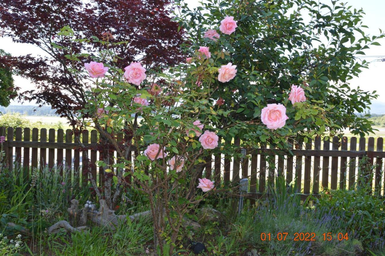 Estuary House Reflexology B&B Courtenay Bagian luar foto