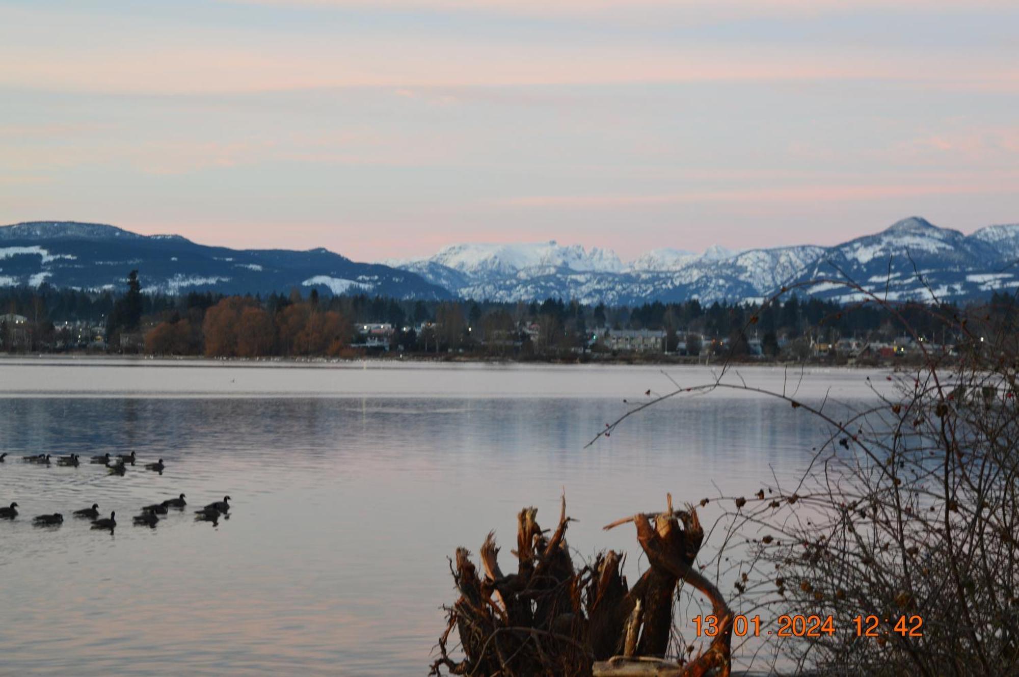 Estuary House Reflexology B&B Courtenay Bagian luar foto