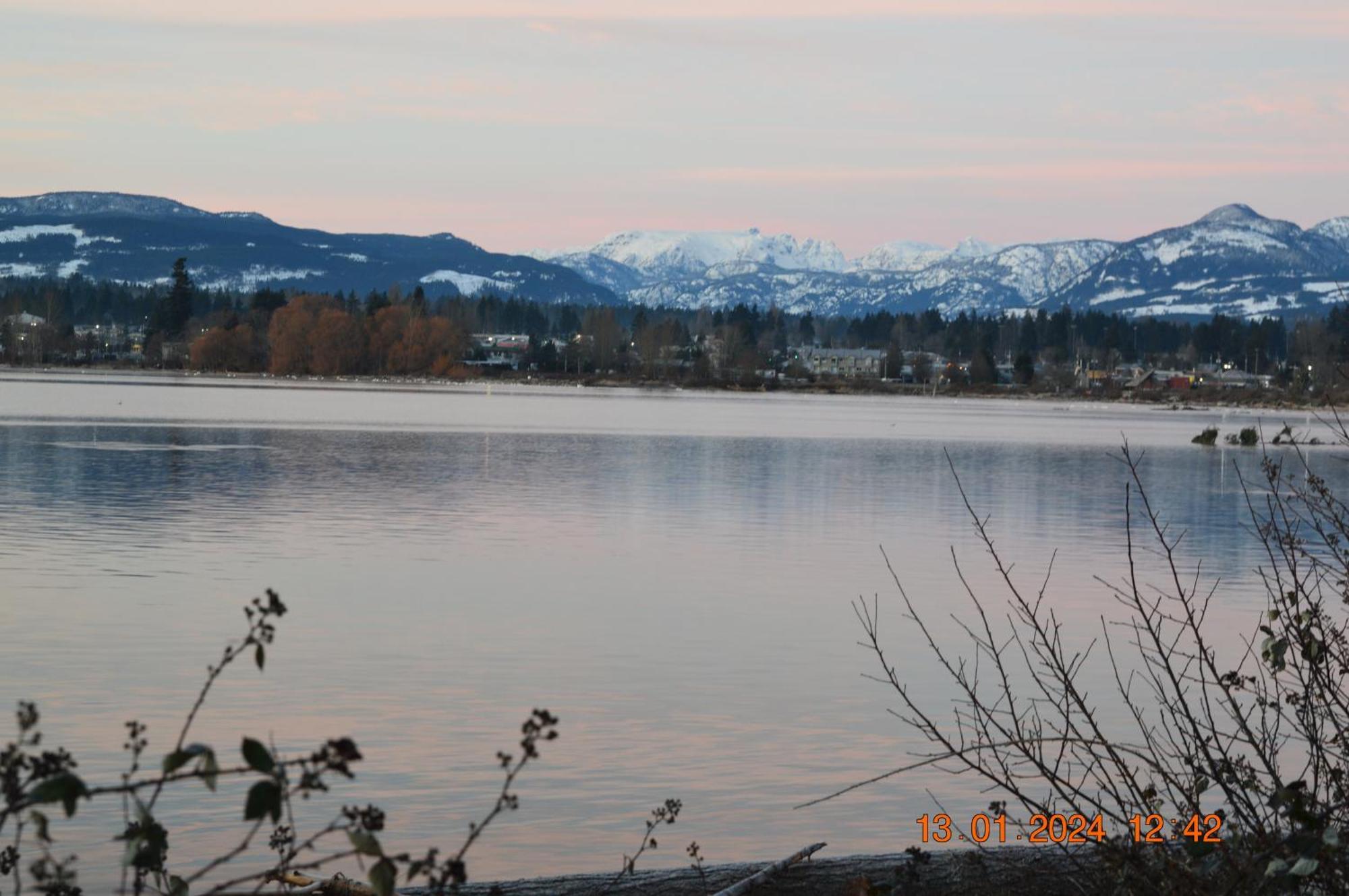 Estuary House Reflexology B&B Courtenay Bagian luar foto