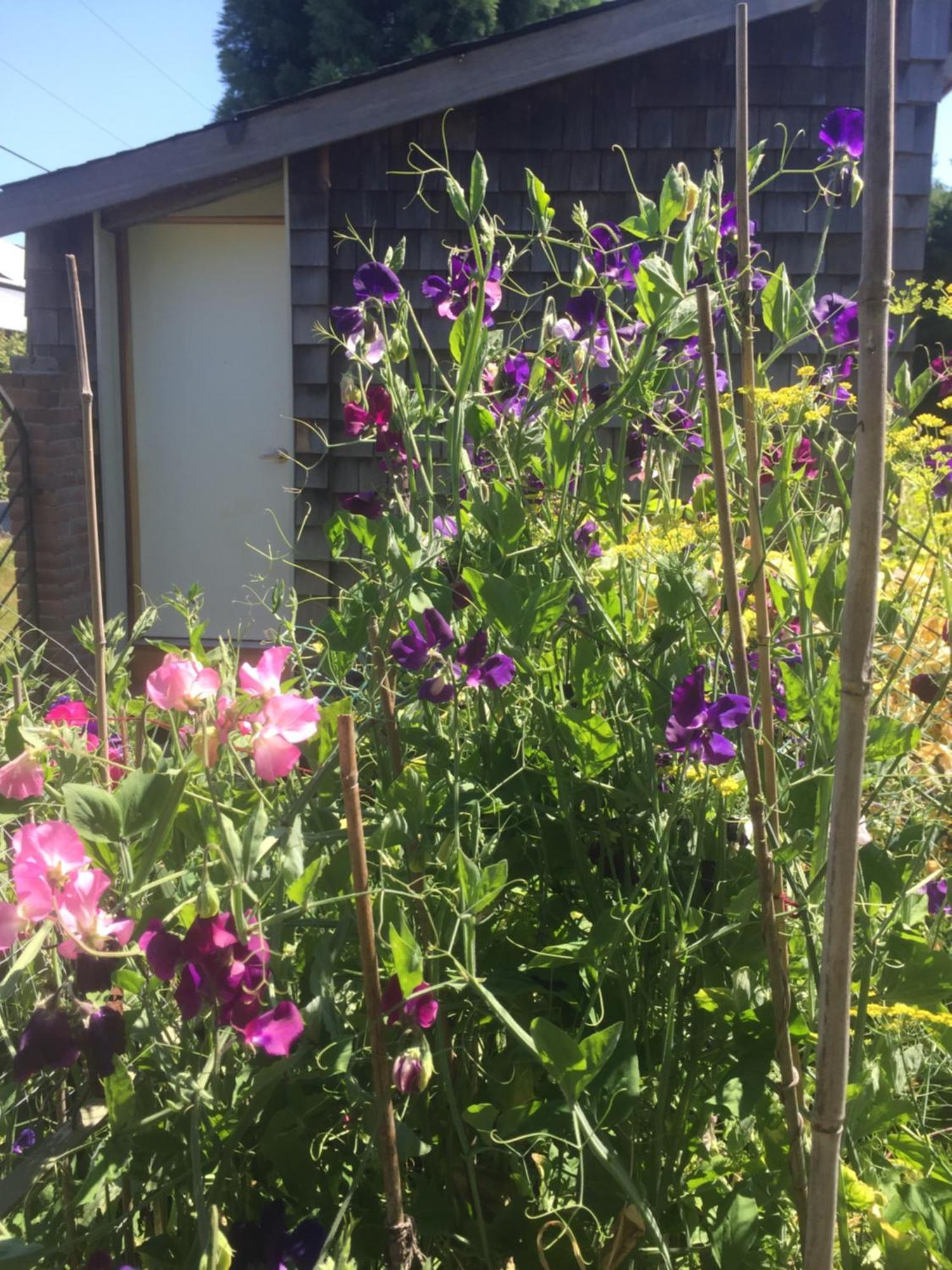Estuary House Reflexology B&B Courtenay Bagian luar foto