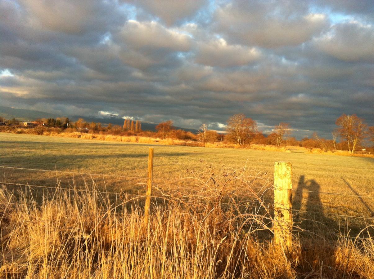 Estuary House Reflexology B&B Courtenay Bagian luar foto