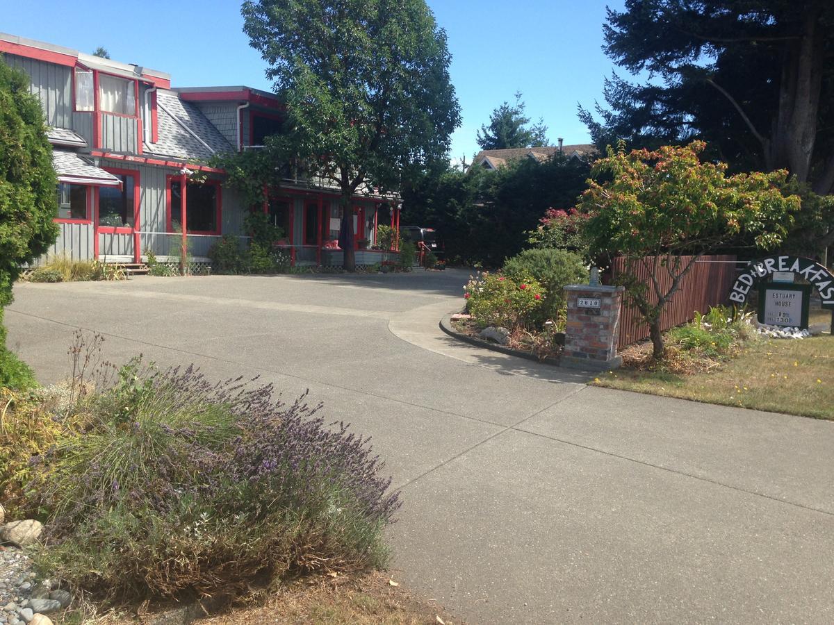Estuary House Reflexology B&B Courtenay Bagian luar foto