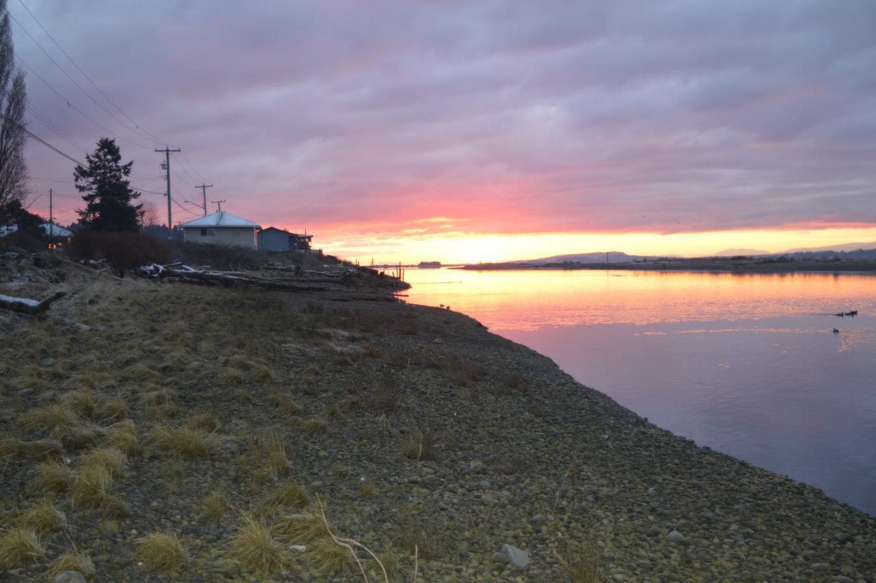 Estuary House Reflexology B&B Courtenay Bagian luar foto