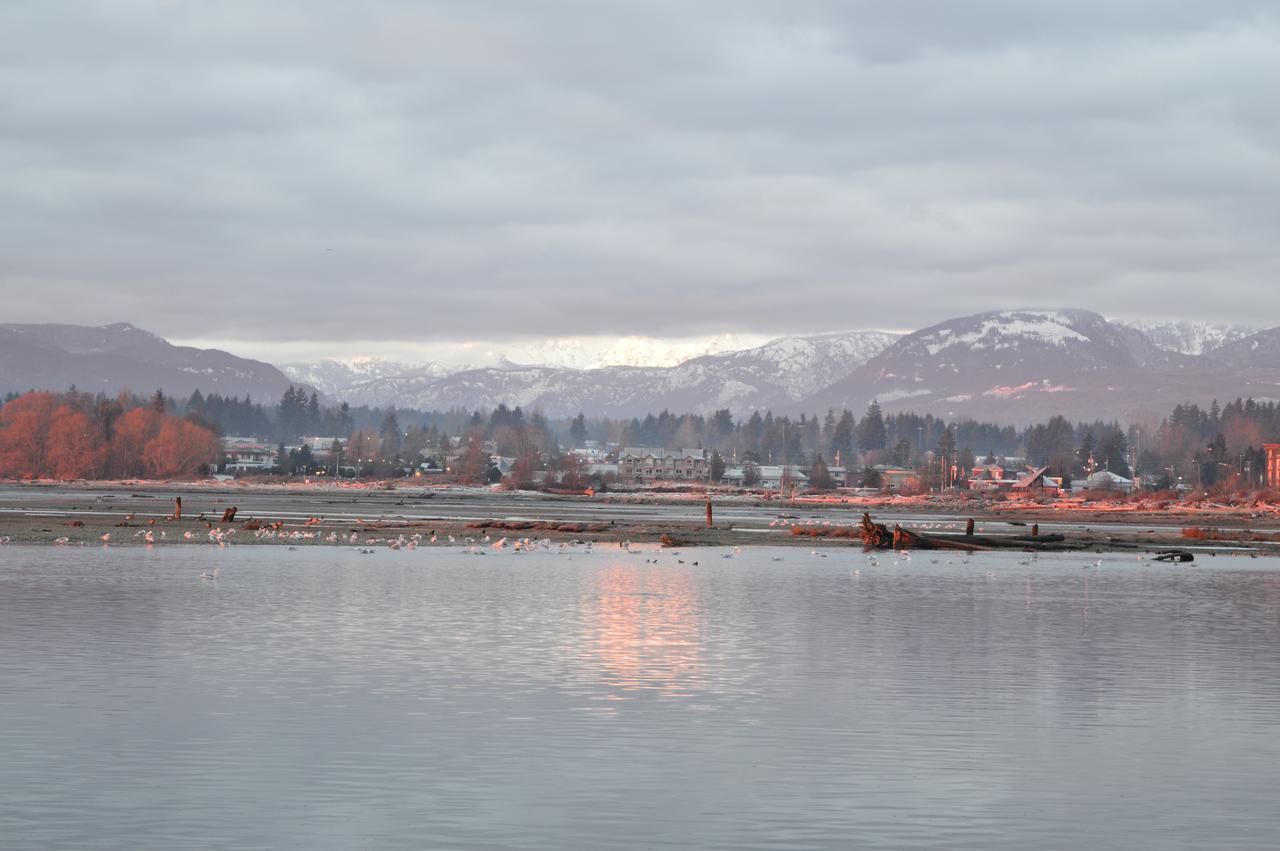 Estuary House Reflexology B&B Courtenay Bagian luar foto