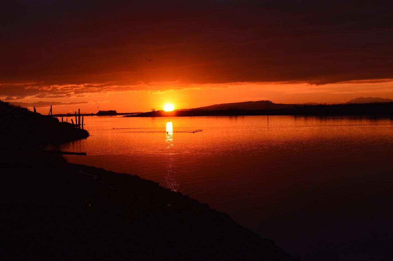 Estuary House Reflexology B&B Courtenay Bagian luar foto
