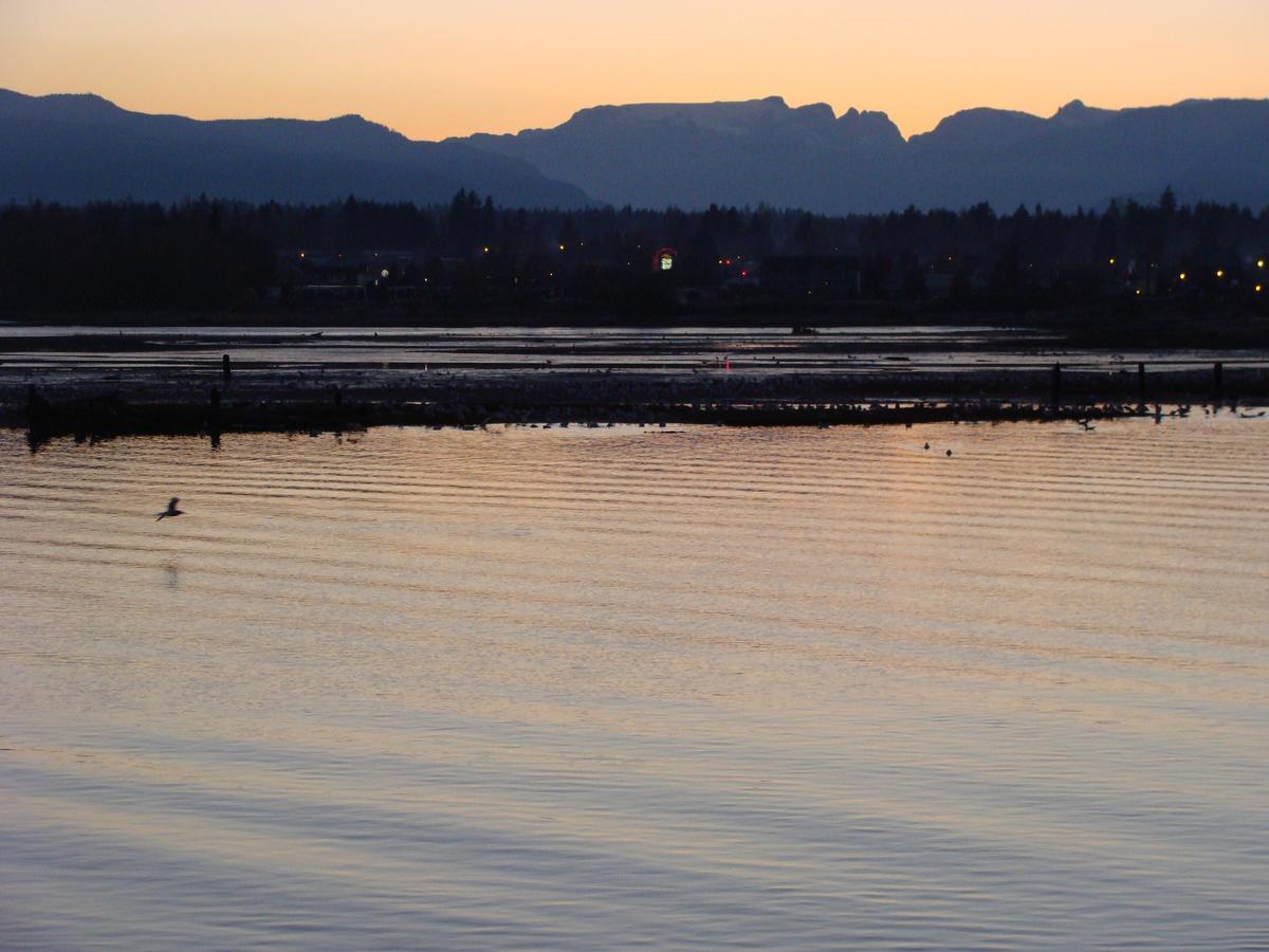 Estuary House Reflexology B&B Courtenay Bagian luar foto