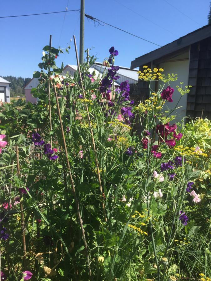 Estuary House Reflexology B&B Courtenay Bagian luar foto